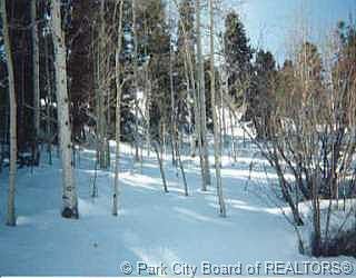1st image of D 78 Elk Road Park #D-78