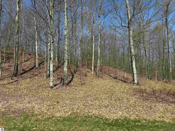 0 W Timberview Trl, Empire, MI 49630