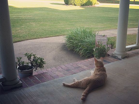 View from front porch