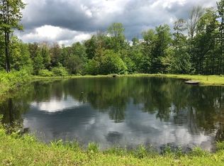 364 Goff Rd, Livingston Manor, NY 12758