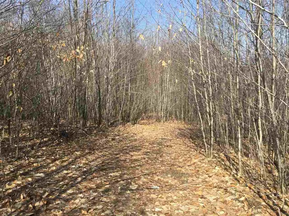 1234 Brudy Road, Indian River, MI 49749