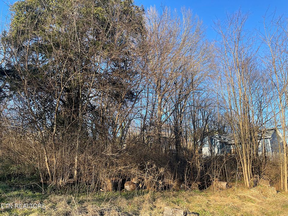 2nd image of 0 Leconte Rd
