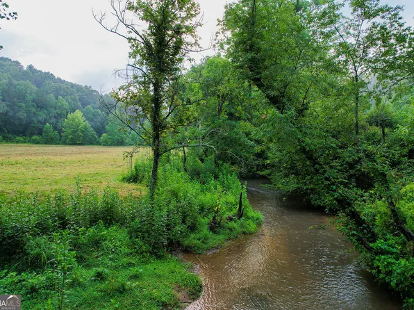 1055 New Liberty Rd, Ellijay, GA 30536