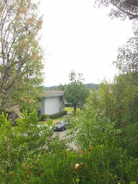 1st image of 1633 Amberwood Dr APT 39