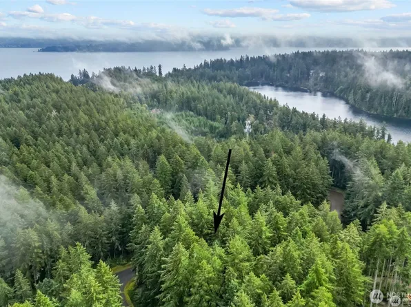 11025 Admiralty Way, Anderson Island, WA 98303