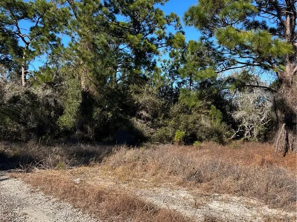 489 Devotion Dr, Lake Placid, FL 33852