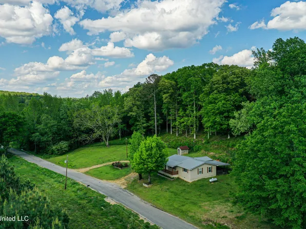 2270 State Line Rd NE, Golden, MS 38847