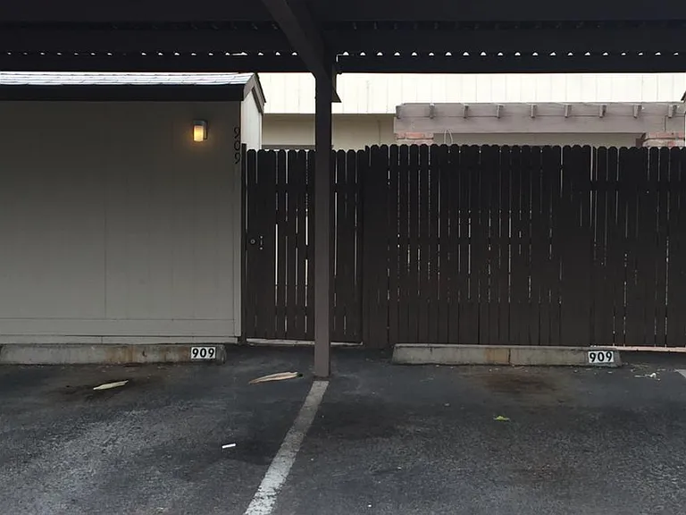909 E Lodge Dr — Photo 14