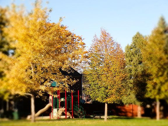 Park is across the street from the home.
