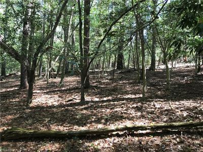LOT 18 Decoy Dr, Wilkesboro, NC, 28697