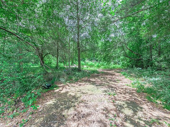 4th image of 125 Magnolia Lane