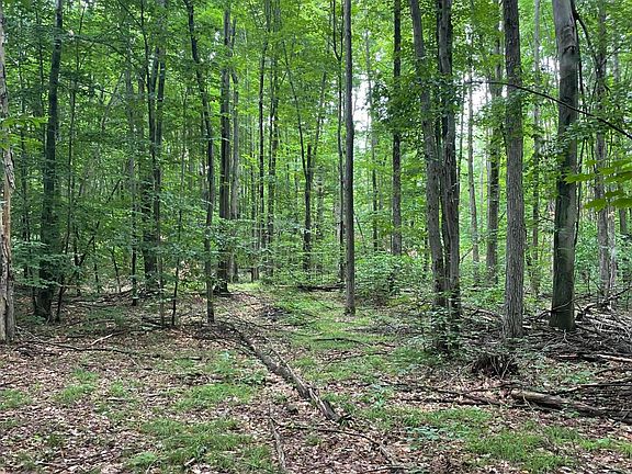 3rd image of N Forest Ln