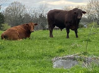 Rocktown Rd, Jefferson city, TN 37760