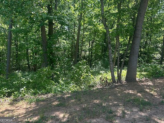 2nd image of 0 Hammers Glen Dr Lot 10