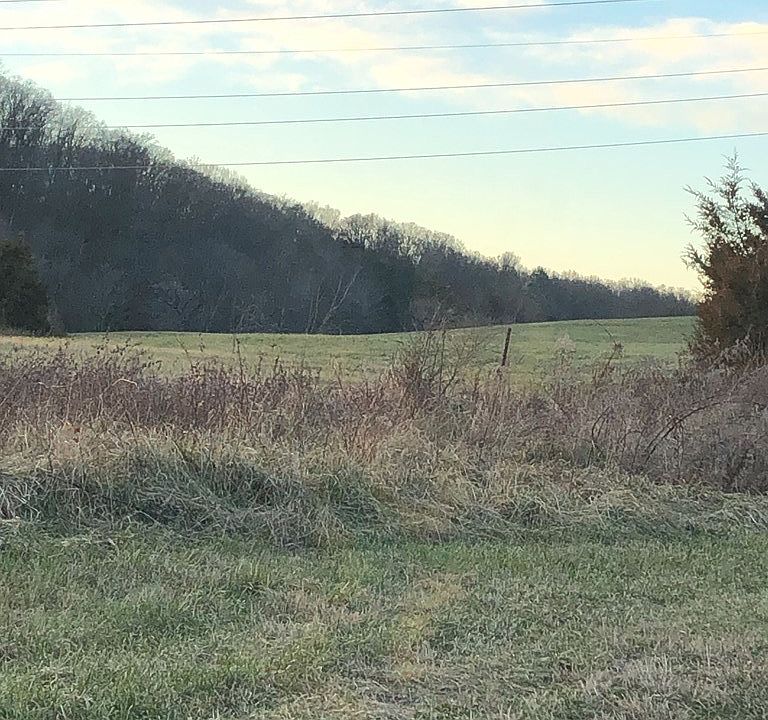 2nd image of Witt Rd