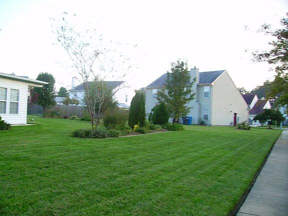 Side yard