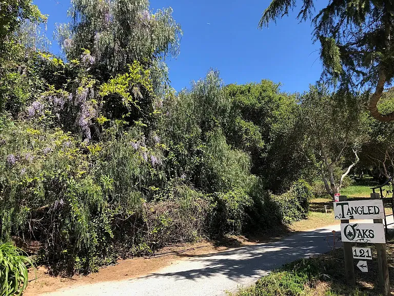 Hambey Ln — Photo 34