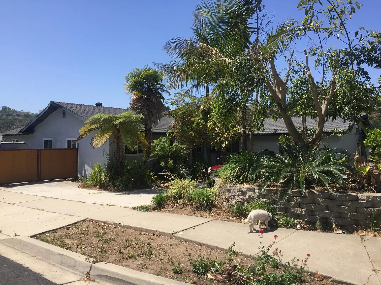 4 bed, 1650 sqft, $6,000 — Photo 2