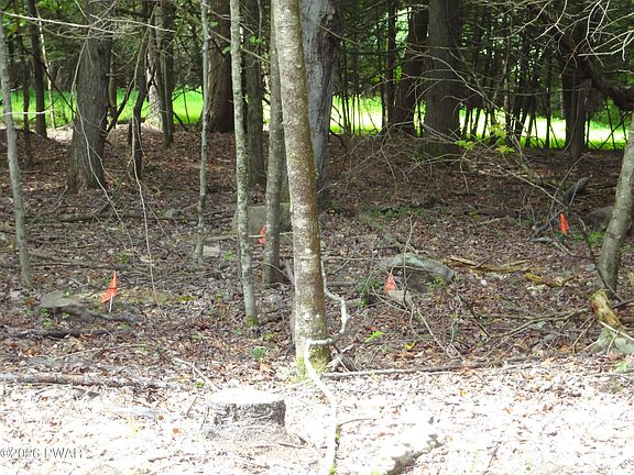 4th image of 20 Pike Ln