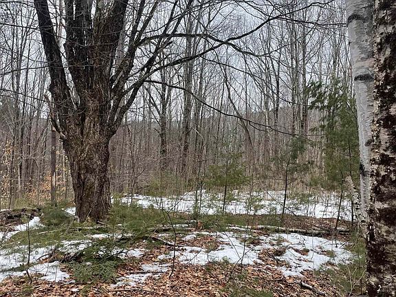 3rd image of Lot 13-9 E Washington Road