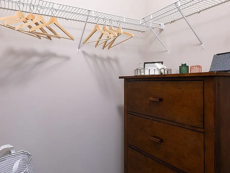 Costar Closet 3