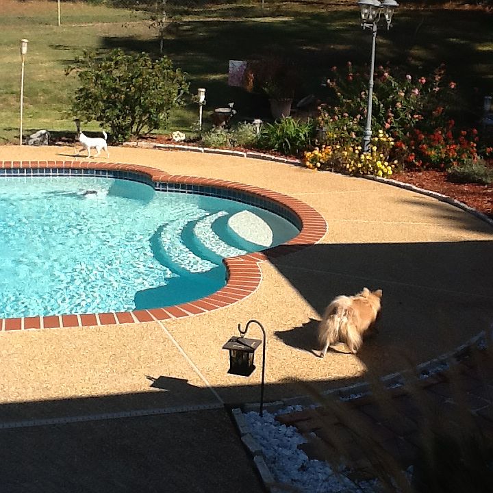 2nd image of 10190 Cypress Knee Dr