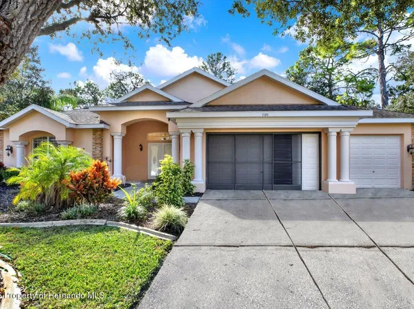 7190 Raymond Pl, Spring Hill, FL 34607