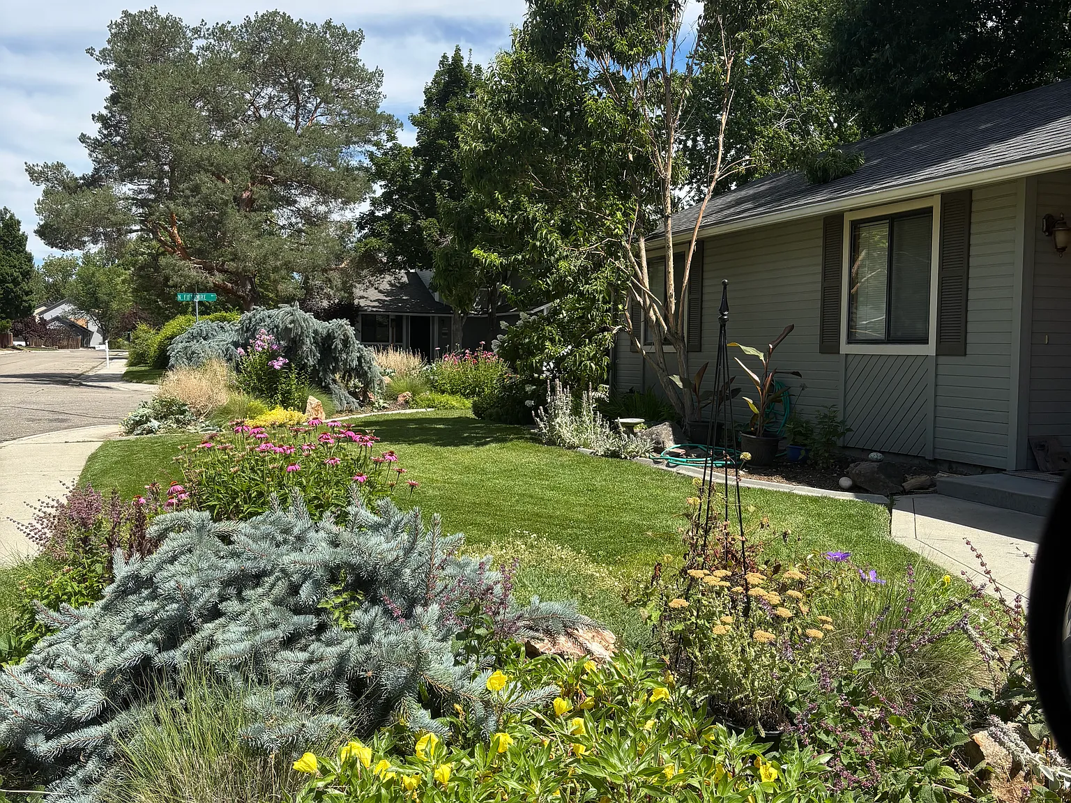 W Albany St, Boise — Photo 2