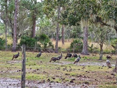 0 Henry Dr, Venus, FL, 33960