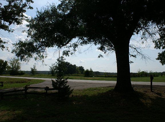 3rd image of 6541 Greensboro Hwy