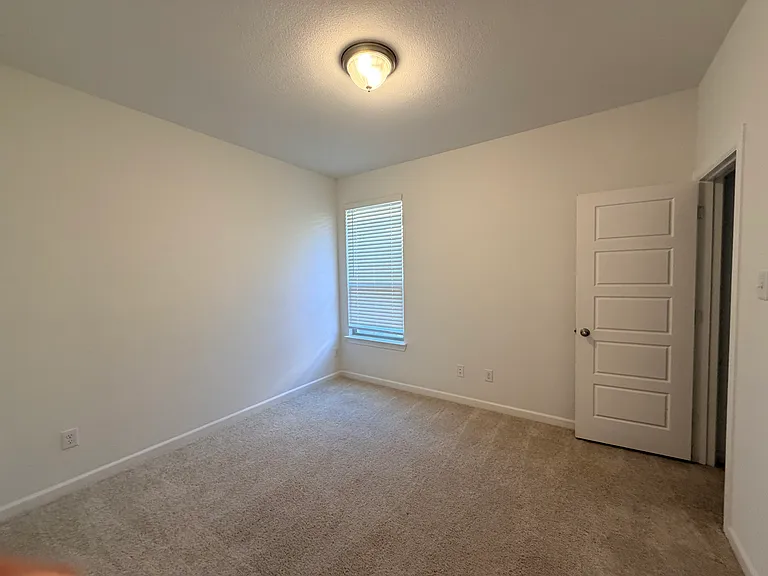 166 Camelia St — Photo 19