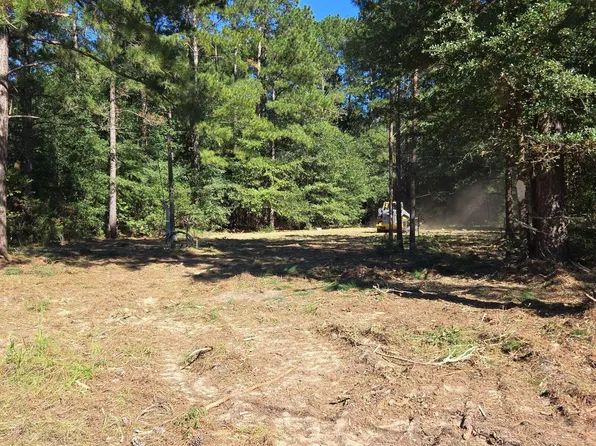 31 Shad Rd Lot 31, Williston, SC 29853