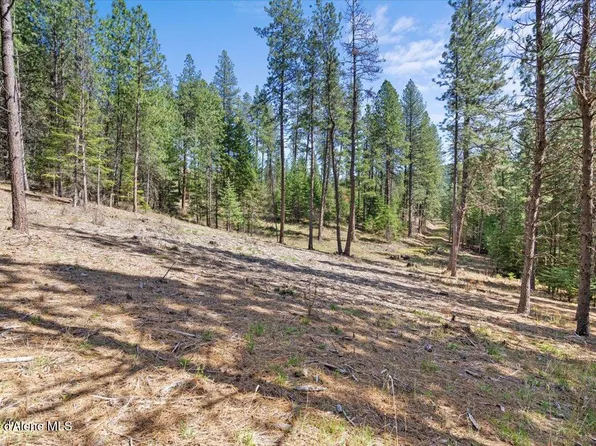 L1b1 Nka Hwy #97, Harrison, ID 83833