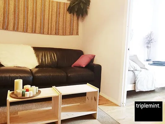 Rented by Triplemint | media 15