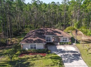12 Ricardo Pl, Palm Coast, FL 32164