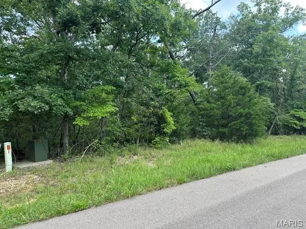 483 Buzzard Rock Rd, Farmington, MO 63640