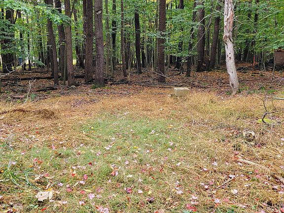4th image of 17 Iroquois Path #19