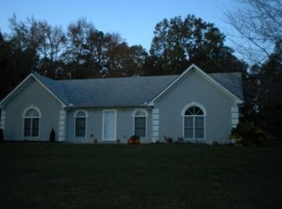 13776 Panhandle Rd, Hampton, GA 30228