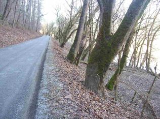 0 Chestnut Ridge Rd, Sneedville, TN 37869