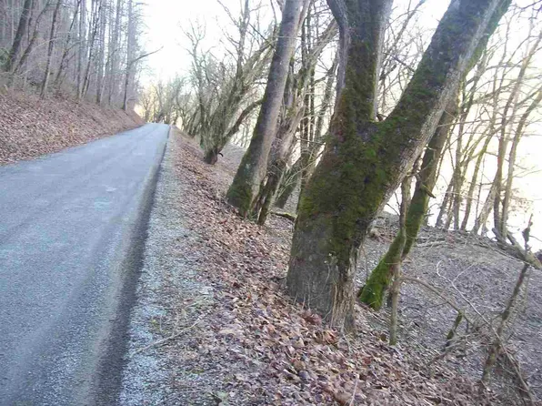 0 Chestnut Ridge Rd, Sneedville, TN 37869