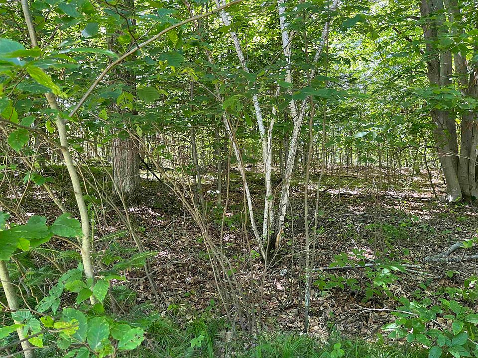 1st image of Trillium Ct #13