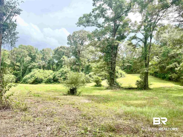 4599 Brushy Creek Rd, Range, AL 36473