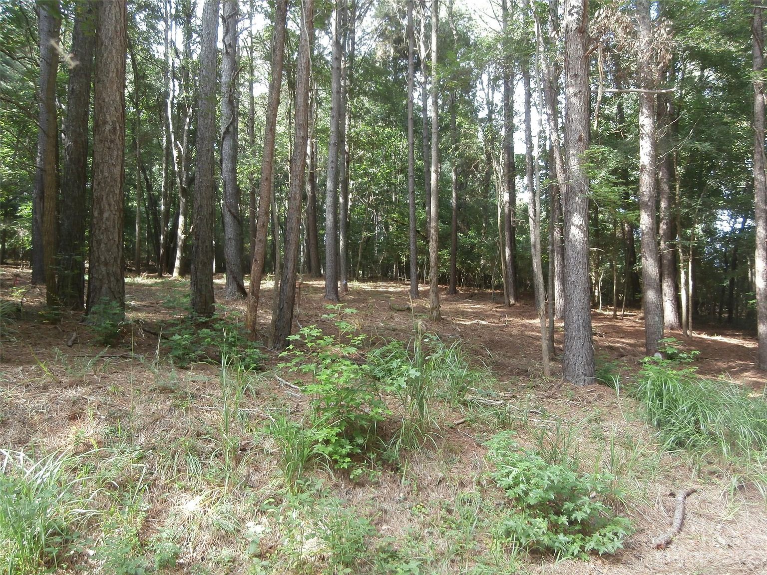 365 Hopewell Church Rd 49, Catawba, NC 28609 MLS 4083284 Zillow