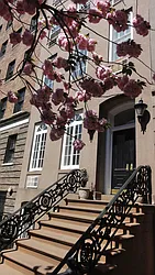 Rented by Town Residential