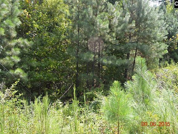 2nd image of 867 Living Waters Dr