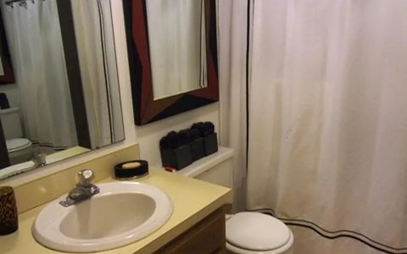 1 bed, 600 sqft, $1,300 — Photo 3