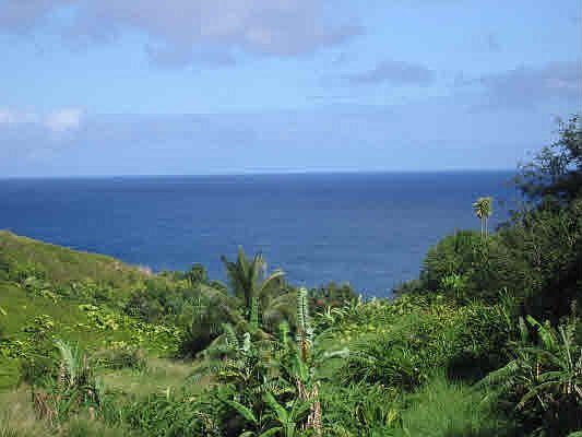 Green belt to ocean.  Perfection!