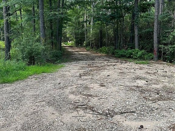 2nd image of Yellow Poplar Ln