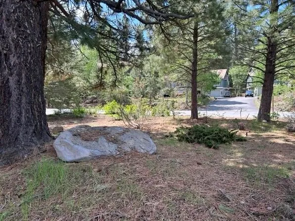 10333 Schaffer Dr, Truckee, CA 96161