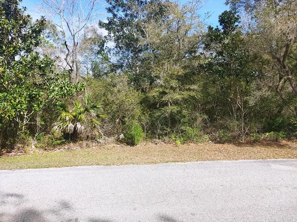 125 Water Oaks Way, Apalachicola, FL 32320